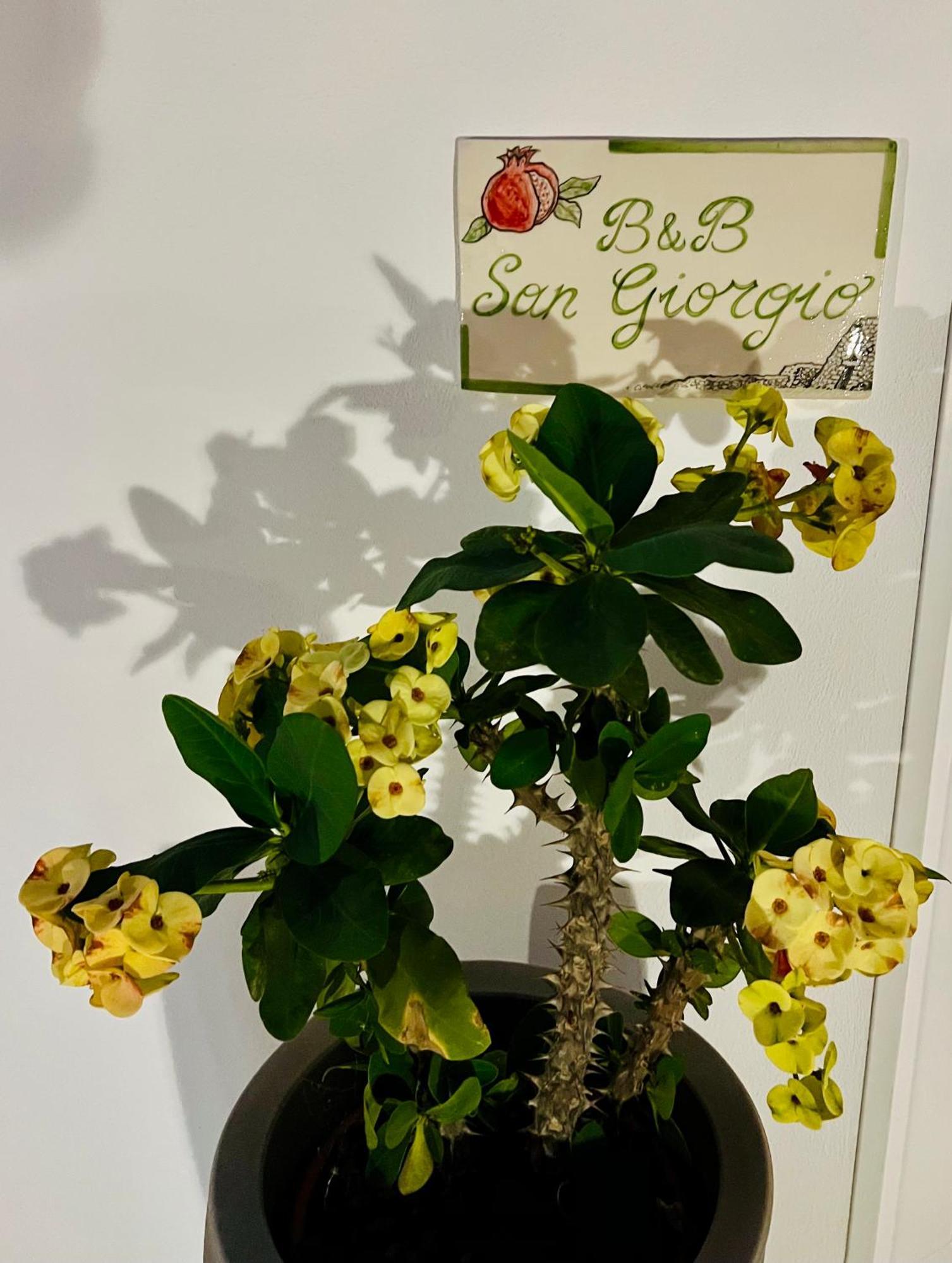 B&B Sangiorgio Borgagne Exteriör bild